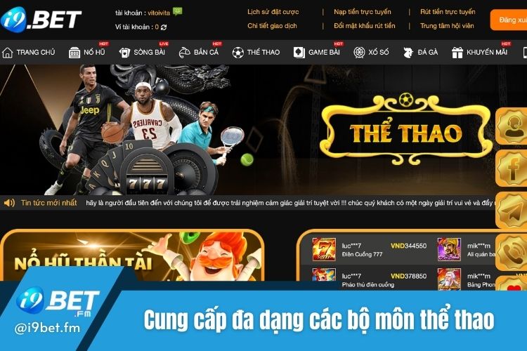 Cung cấp đa dạng các bộ môn thể thao hấp dẫn nhất thế giới