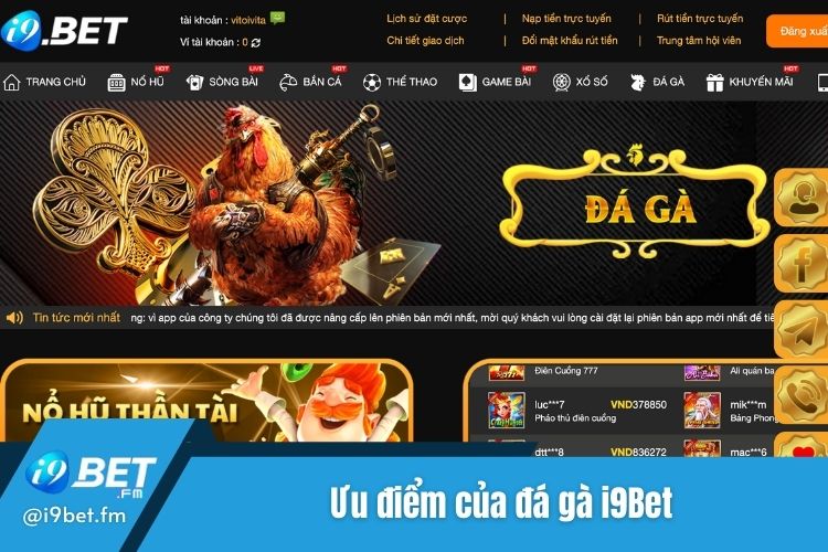 Khám phá ưu điểm của mục game đá gà i9Bet